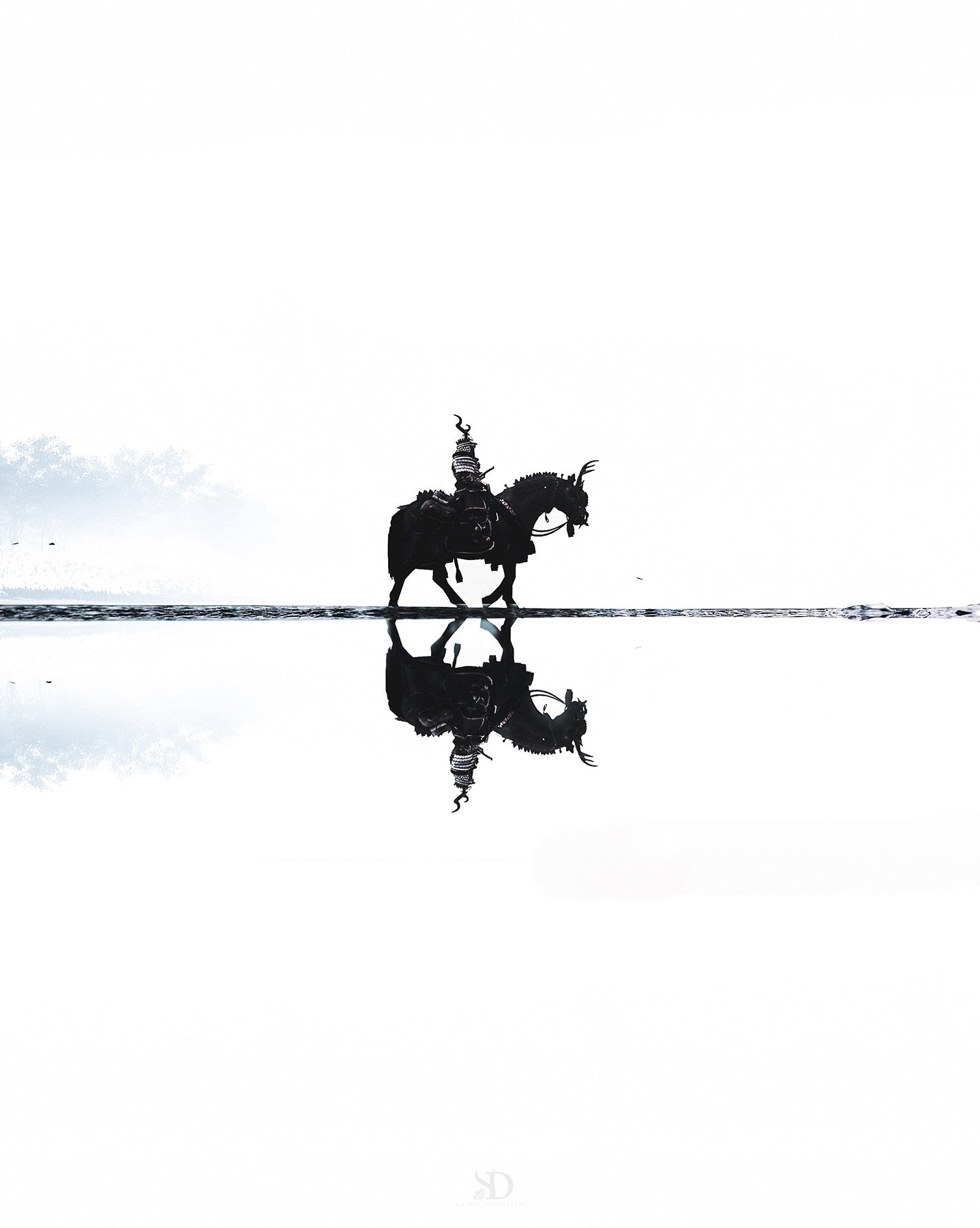 Horse rider reflection