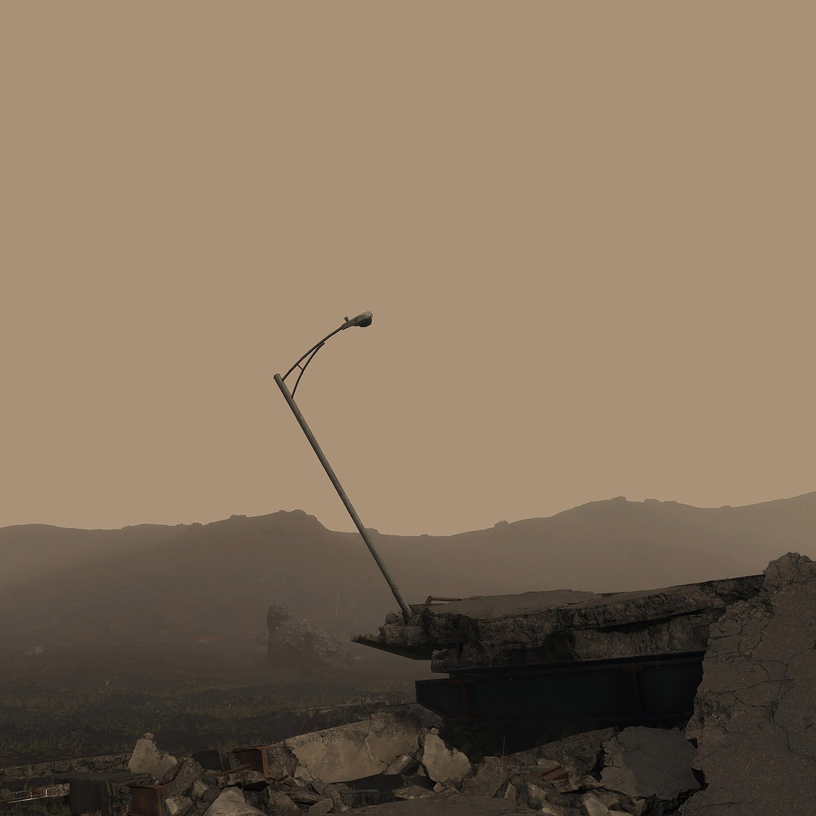 Horse rider reflection