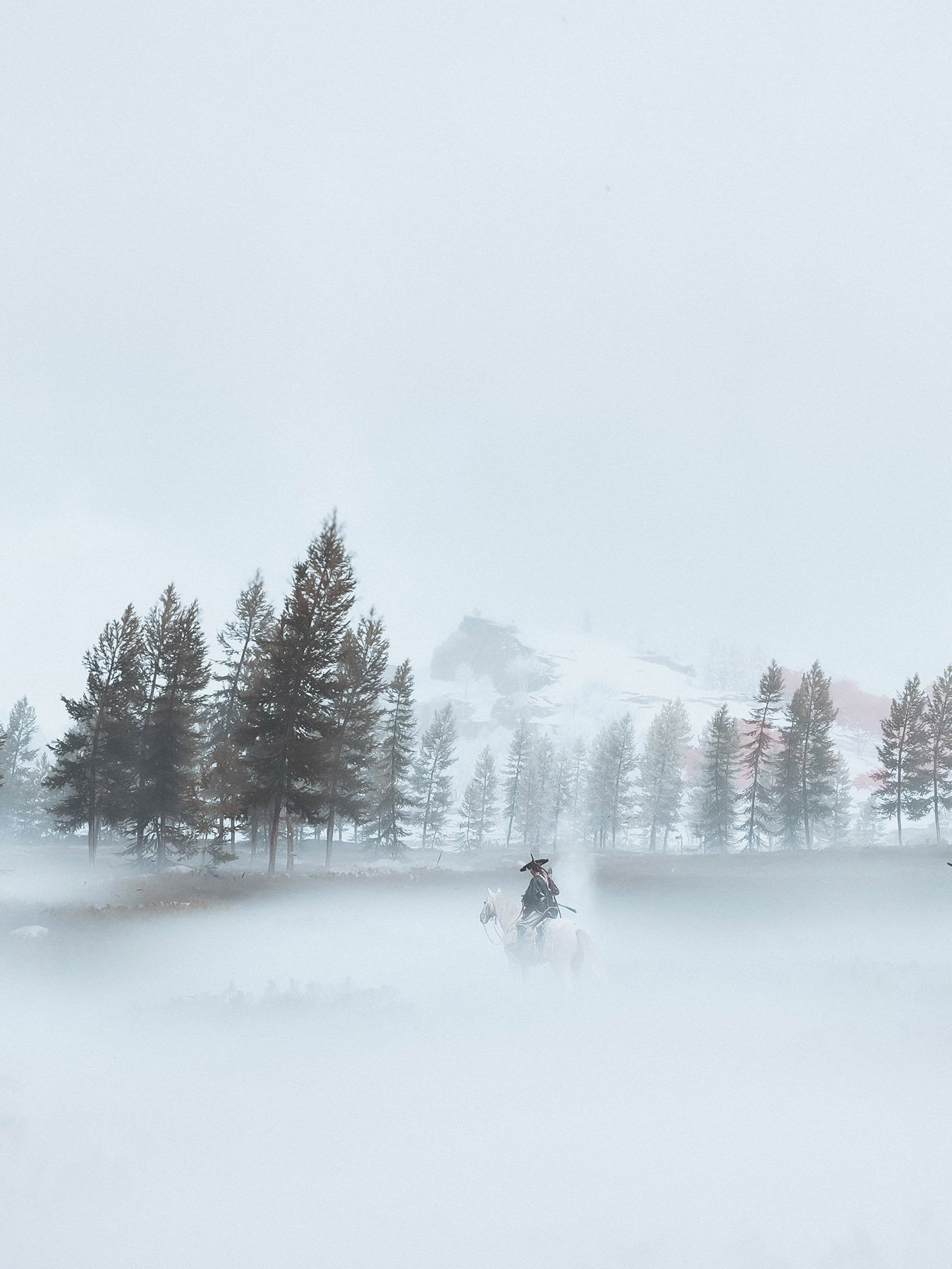 Horse rider reflection